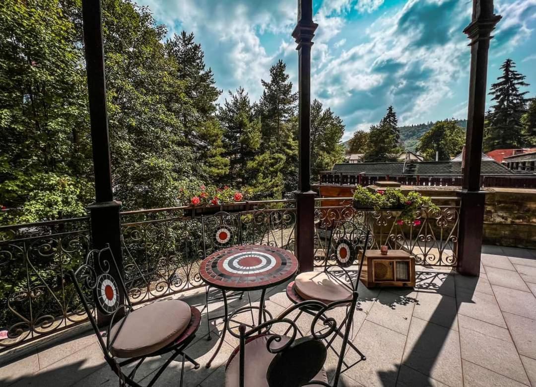 Castelul Stirbey Hotel Sinaia Bagian luar foto