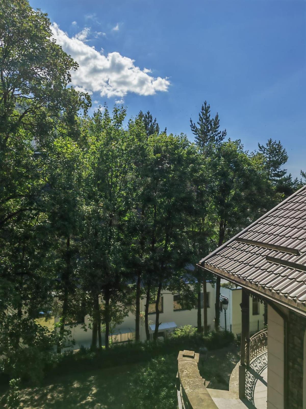 Castelul Stirbey Hotel Sinaia Bagian luar foto